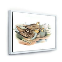 Drevne ptice u divljini III uokvirena slika na platnu Art Print