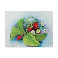 Zaštitni znak likovne umjetnosti' Sample Berries ' platnena Umjetnost Joanne Porter