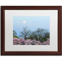 Zaštitni znak Likovna umjetnost Spring Moon 2 Canvas Art by CATeyes, bijeli mat, drveni okvir