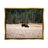 Stupell Bison Pase Ruralna Zemlja Pejzaž Životinje I Insekti Fotografija Zlatni Plutač Uokvireni Art Print
