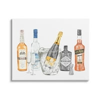 Stupell Industries razne boce pića za piće grafička Umjetnička galerija umotana u platno print Wall Art,