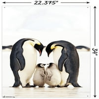 Grupa zidnog plakata cara pingvini s push igle, 22.375 34
