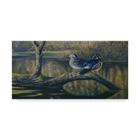 Zaštitni znak likovne umjetnosti' Spring Pair Wood Ducks ' platno Art Wilhelm Goebel