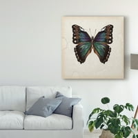 Zaštitni znak Likovna umjetnost' Butterfly Study III ' umjetnost na platnu Melisse Wang
