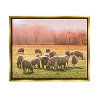 Stupell Industries stado ovaca na ispaši topli ružičasti Zalazak ruralni travnjak fotografija metalik zlata