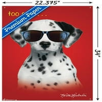 Keith Kimberlin - dalmatinsko štene - previše hladan zidni poster sa push igle, 22.375 34