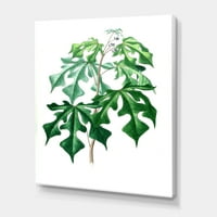 Drevni zeleni listovi biljke II slikarstvo platno Art Print