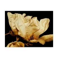 Zaštitni znak Likovna umjetnost' Buttercream Magnolia II ' platnena Umjetnost Rachel Perry