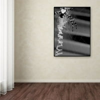 Zaštitni znak Likovna umjetnost crno-bijeli pauk i mreža umjetnost na zidu od platna Patty Tuggle