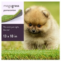 MegaGrass Pomeranian u vještačkoj travi za male kućne ljubimce pas lonac zatvoreni vanjski prostor