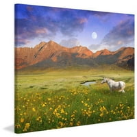 Bijeli konj Mtn otisak slike na omotanom platnu