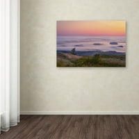 Ostrvo zaštitnog znaka Ostrva u magli platnena umjetnost Michael Blanchette fotografije