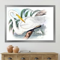 DESIMANART 'Drevne australijske ptice IV' Tradicionalni uokvireni umjetnički print