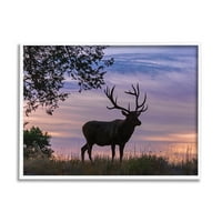 Stupell Home Décor Industries Wild Elk Sunrise Forest Animal Antlers Morning Sky, 14, dizajnirao Larry McFerrin