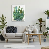 Stupell Botanički pustinjski pustinjski kruški kaktus Botanical i cvjetna slikarska galerija zamotana platna