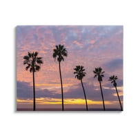 Stupell Industries purpurno oblačno Zalazak sunca visoke palme siluete fotografija Galerija umotano platno