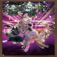 James Booker - Disco Mačke Zidni poster, 22.375 34 Uramljeno