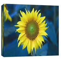 Slike, solitary sunflower, 20x16, dekorativna platna zidna Umjetnost