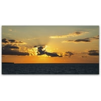 Zaštitni znak Likovna umjetnost Seagull Sunset umjetnost na platnu Kurta Shaffera