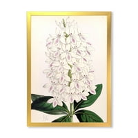 Designart' drevna Bijela orhideja III ' tradicionalni uokvireni umjetnički Print